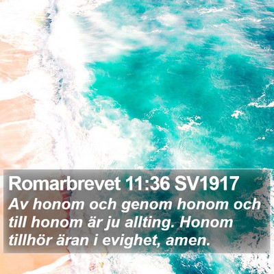Romarbrevet 11:36 SV1917 Bible Verse Image