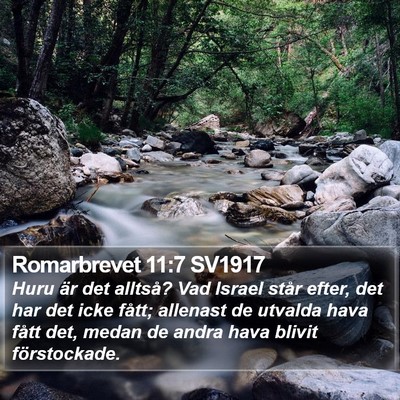 Romarbrevet 11:7 SV1917 Bible Verse Image