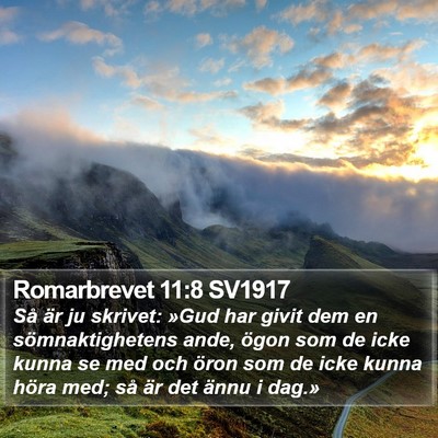Romarbrevet 11:8 SV1917 Bible Verse Image