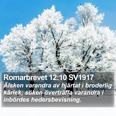 Romarbrevet 12:10 SV1917 Bible Verse Image