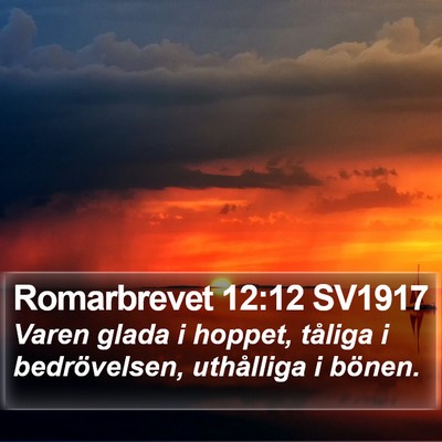 Romarbrevet 12:12 SV1917 Bible Verse Image