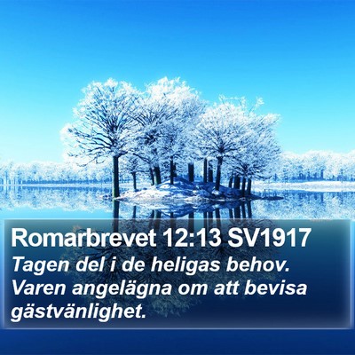 Romarbrevet 12:13 SV1917 Bible Verse Image
