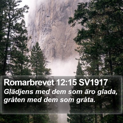 Romarbrevet 12:15 SV1917 Bible Verse Image