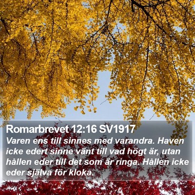 Romarbrevet 12:16 SV1917 Bible Verse Image
