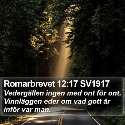Romarbrevet 12:17 SV1917 Bible Verse Image
