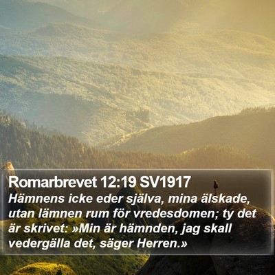 Romarbrevet 12:19 SV1917 Bible Verse Image