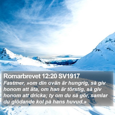 Romarbrevet 12:20 SV1917 Bible Verse Image