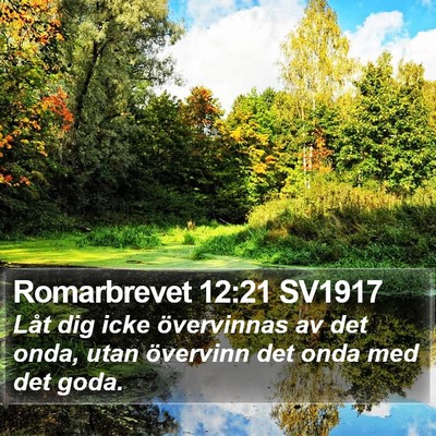 Romarbrevet 12:21 SV1917 Bible Verse Image