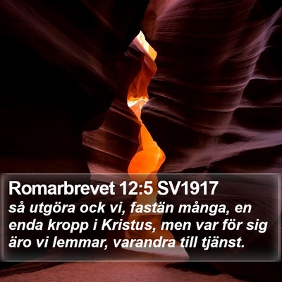 Romarbrevet 12:5 SV1917 Bible Verse Image