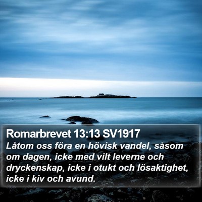 Romarbrevet 13:13 SV1917 Bible Verse Image