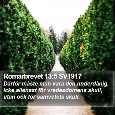 Romarbrevet 13:5 SV1917 Bible Verse Image