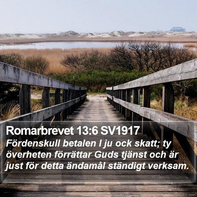 Romarbrevet 13:6 SV1917 Bible Verse Image