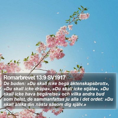 Romarbrevet 13:9 SV1917 Bible Verse Image