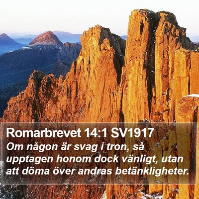Romarbrevet 14:1 SV1917 Bible Verse Image