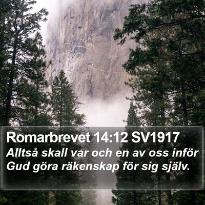 Romarbrevet 14:12 SV1917 Bible Verse Image