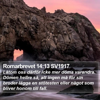 Romarbrevet 14:13 SV1917 Bible Verse Image