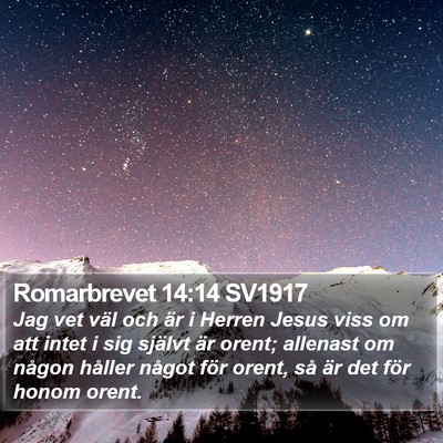 Romarbrevet 14:14 SV1917 Bible Verse Image
