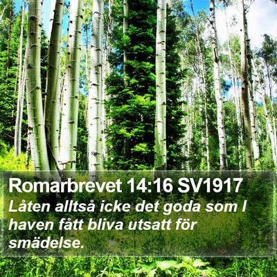 Romarbrevet 14:16 SV1917 Bible Verse Image
