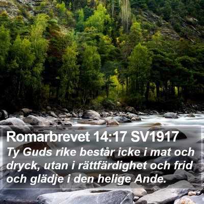 Romarbrevet 14:17 SV1917 Bible Verse Image