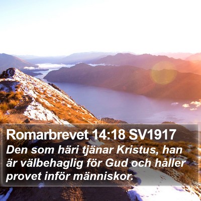 Romarbrevet 14:18 SV1917 Bible Verse Image