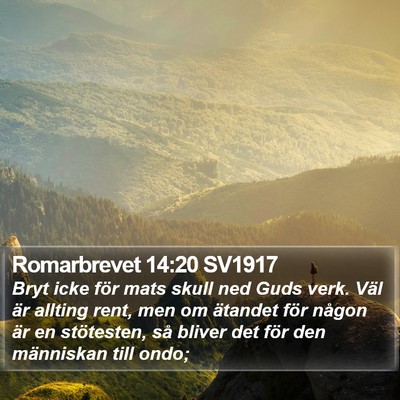 Romarbrevet 14:20 SV1917 Bible Verse Image