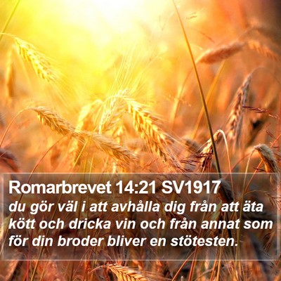 Romarbrevet 14:21 SV1917 Bible Verse Image