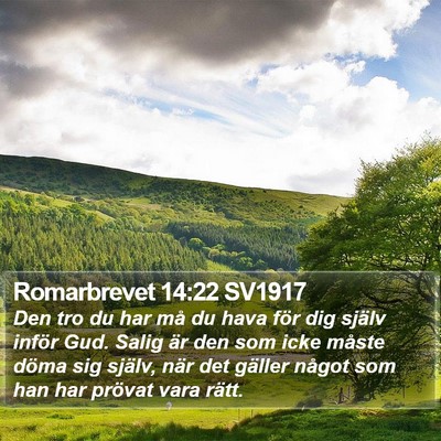 Romarbrevet 14:22 SV1917 Bible Verse Image