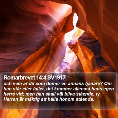 Romarbrevet 14:4 SV1917 Bible Verse Image