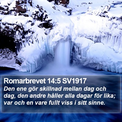 Romarbrevet 14:5 SV1917 Bible Verse Image