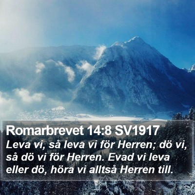 Romarbrevet 14:8 SV1917 Bible Verse Image