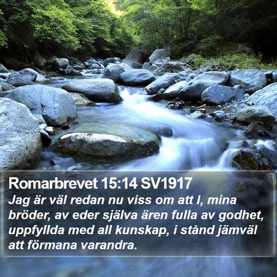 Romarbrevet 15:14 SV1917 Bible Verse Image
