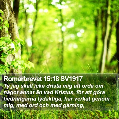 Romarbrevet 15:18 SV1917 Bible Verse Image