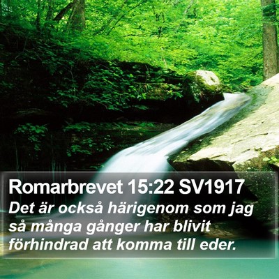 Romarbrevet 15:22 SV1917 Bible Verse Image