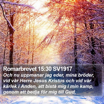 Romarbrevet 15:30 SV1917 Bible Verse Image