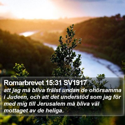 Romarbrevet 15:31 SV1917 Bible Verse Image
