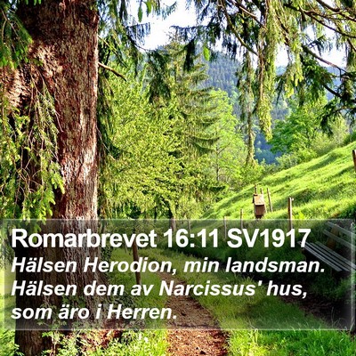 Romarbrevet 16:11 SV1917 Bible Verse Image