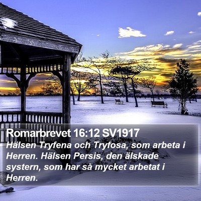Romarbrevet 16:12 SV1917 Bible Verse Image