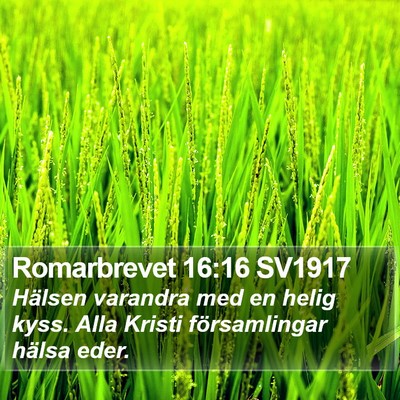 Romarbrevet 16:16 SV1917 Bible Verse Image