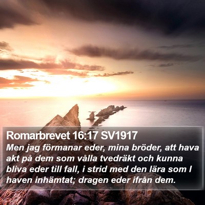 Romarbrevet 16:17 SV1917 Bible Verse Image