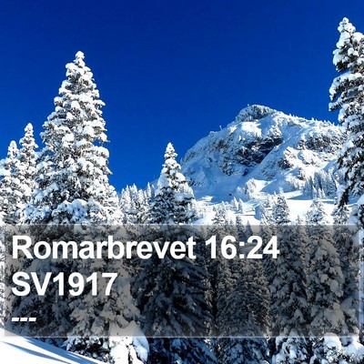 Romarbrevet 16:24 SV1917 Bible Verse Image