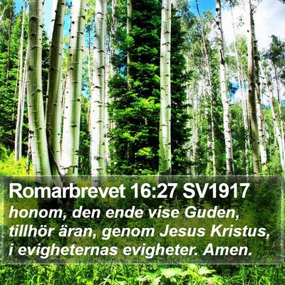 Romarbrevet 16:27 SV1917 Bible Verse Image