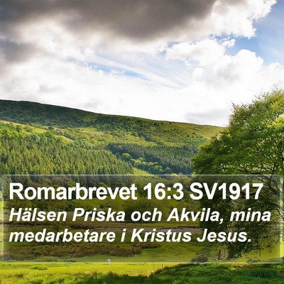 Romarbrevet 16:3 SV1917 Bible Verse Image