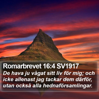 Romarbrevet 16:4 SV1917 Bible Verse Image