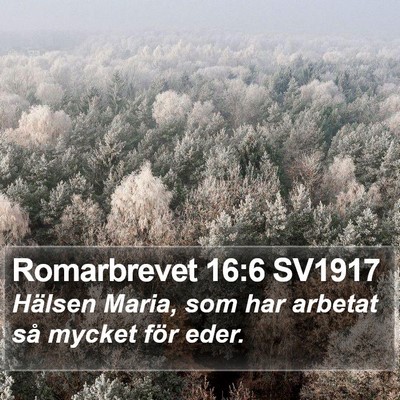 Romarbrevet 16:6 SV1917 Bible Verse Image