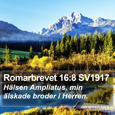 Romarbrevet 16:8 SV1917 Bible Verse Image