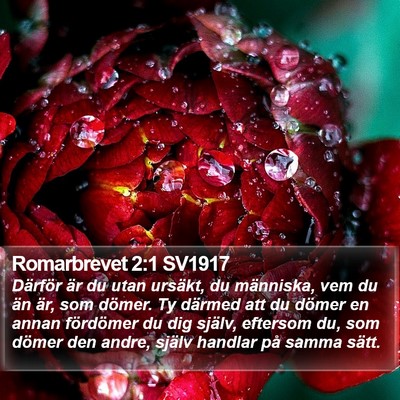 Romarbrevet 2:1 SV1917 Bible Verse Image