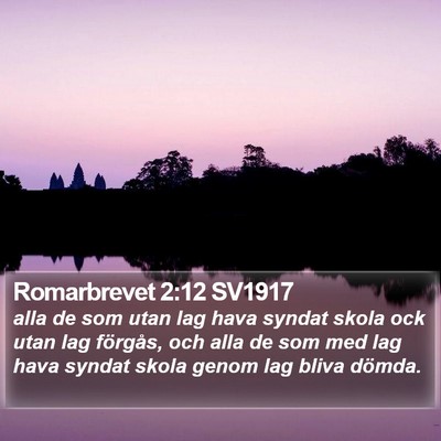 Romarbrevet 2:12 SV1917 Bible Verse Image