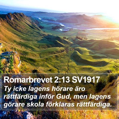 Romarbrevet 2:13 SV1917 Bible Verse Image