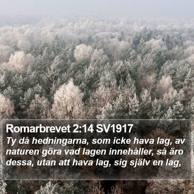 Romarbrevet 2:14 SV1917 Bible Verse Image