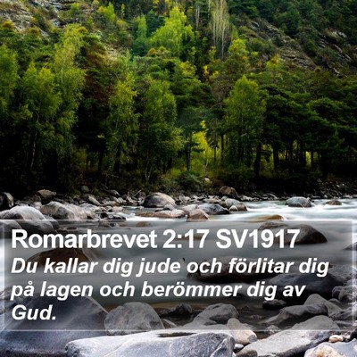 Romarbrevet 2:17 SV1917 Bible Verse Image